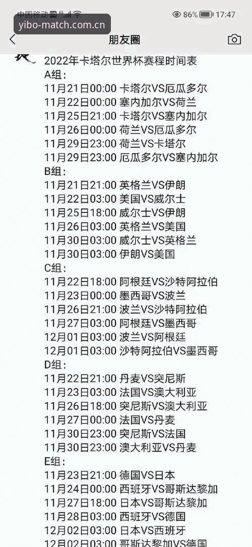亿博体育官方下载手机版 世界杯观赛签证受阻?亿博体育用户必备的行前实用指南